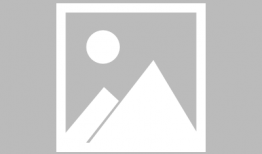 游戏人生动漫,命运交织的虚拟世界