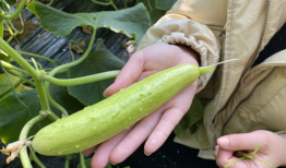 介休吃瓜最新事件爆料,揭秘背后惊人真相