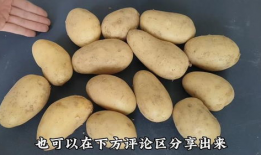 土豆视频,揭秘热门短视频背后的创作故事